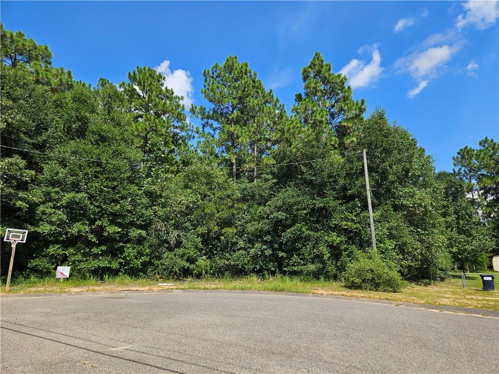 Photo 1 of 2 — 0 Richard Lane, Eight Mile, AL 36613