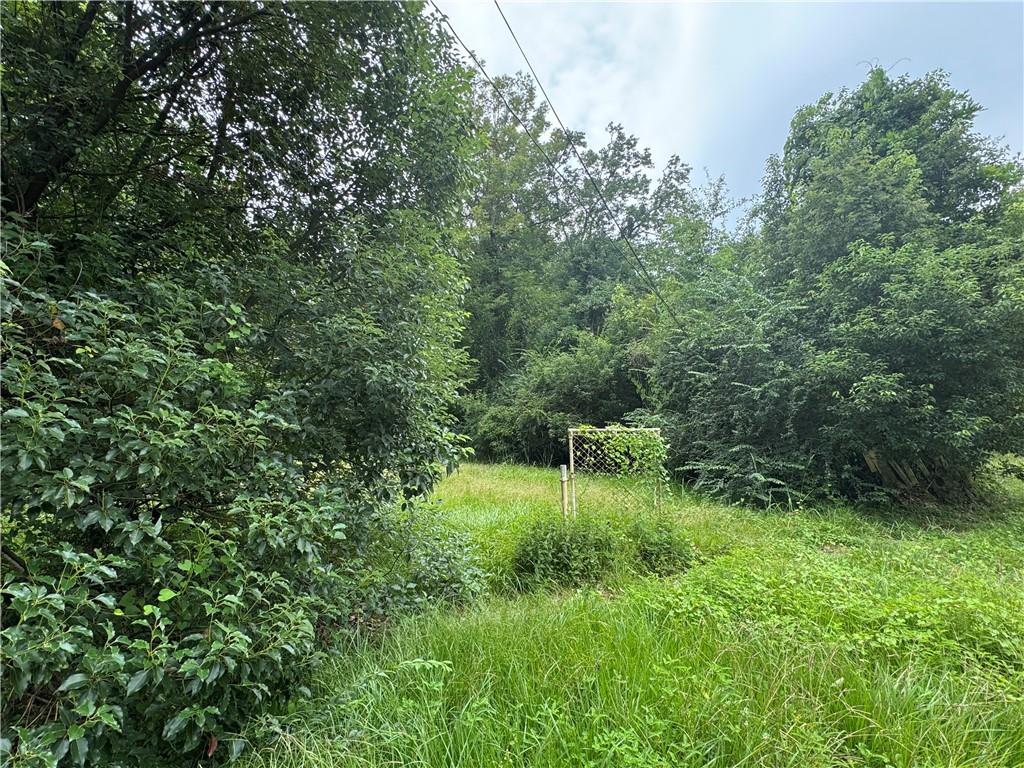 View of local wilderness