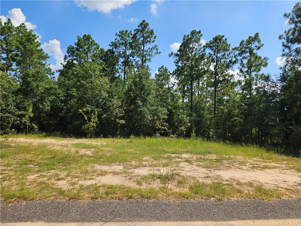Photo 1 of 4 — 0 Heather Drive, Eight Mile, AL 36613