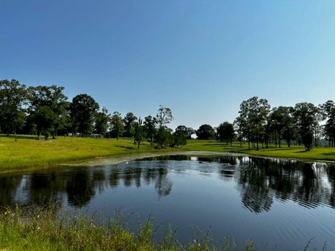 Photo of 11700 Earl Booth Road, Citronelle, AL 36522 (MLS # 7842239)