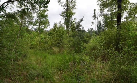 Photo of 0 Mcgregor Road, Grand Bay, AL 36541 (MLS # 7769796)