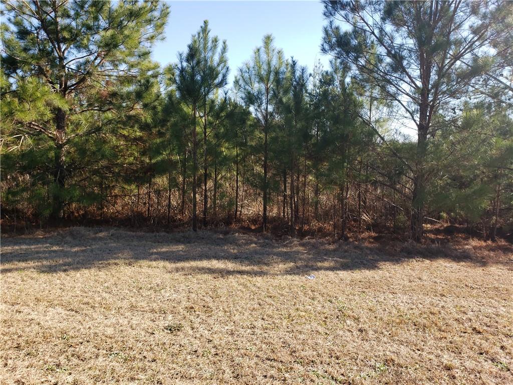 0 Stillwater Lane - Photo 3