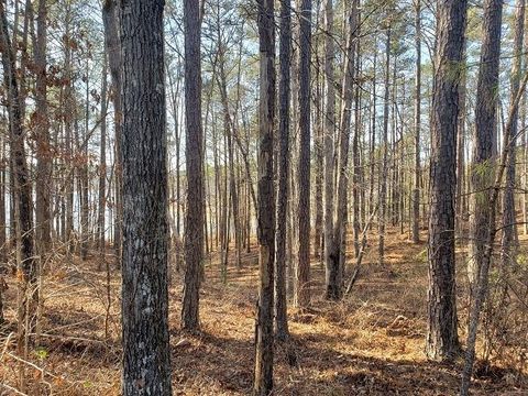 Photo of 0 Stillwater Lane, Double Springs, AL 35553 (MLS # 7652498)