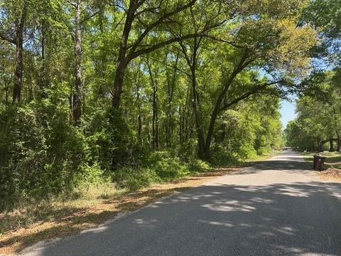 Photo of 0 Willie Crook Avenue, Satsuma, AL 36572 (MLS # 7560988)