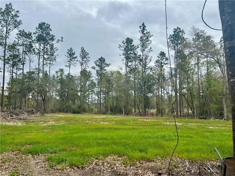 Photo of 14185 Driskell Dairy Road, Mobile, AL 36695 (MLS # 7736007)