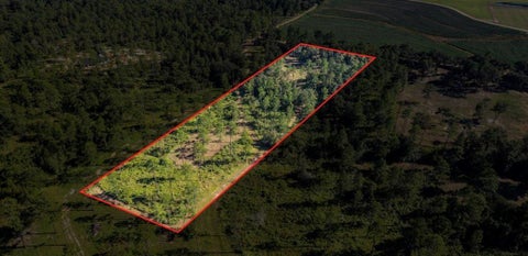 Photo of 14185 Driskell Dairy Road, Mobile, AL 36695 (MLS # 7736007)