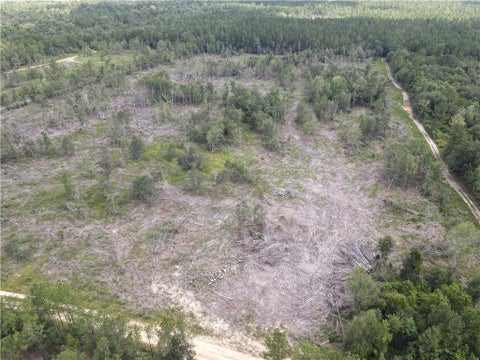 Photo of 0 Lucas Road, Axis, AL 36505 (MLS # 7808586)