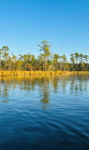 Photo of 0 Cedar Trace, Mobile, AL 36582 (MLS # 7829844)