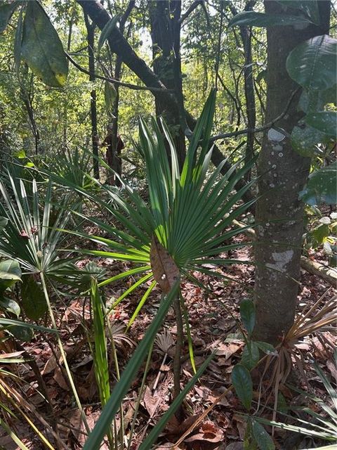 Photo of 3820 Cypress Shores Drive, Mobile, AL 36619 (MLS # 7653495)