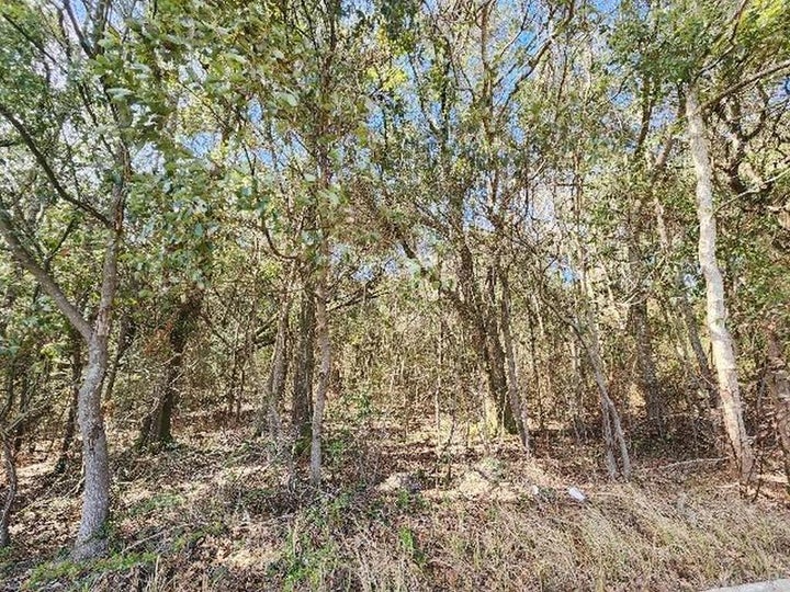Photo 1 of 7 — 0 Hurricane Boulevard, Irvington, AL 36544