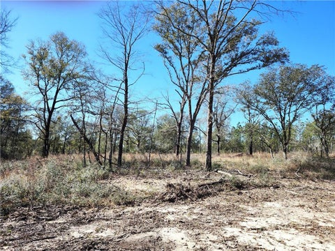 Photo of 0 Hampton Road, Mobile, AL 36608 (MLS # 7835000)