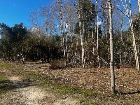Photo of 0 Bellingrath Road, Theodore, AL 36582 (MLS # 7755036)