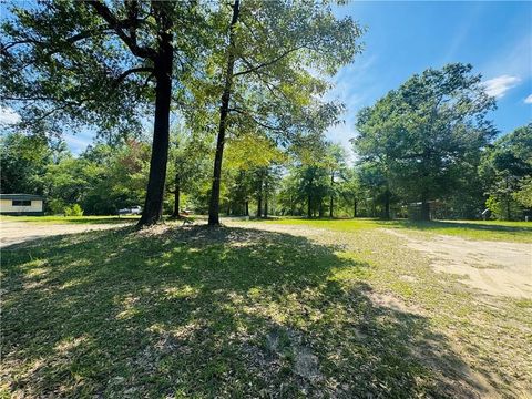 Photo of 19035 Joan Harris Road, Mount Vernon, AL 36560 (MLS # 7776814)