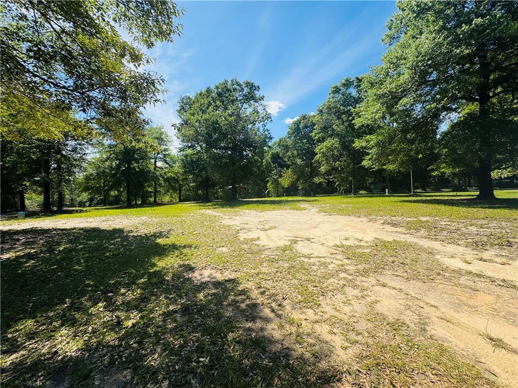 19035 Joan Harris Road - Photo 3