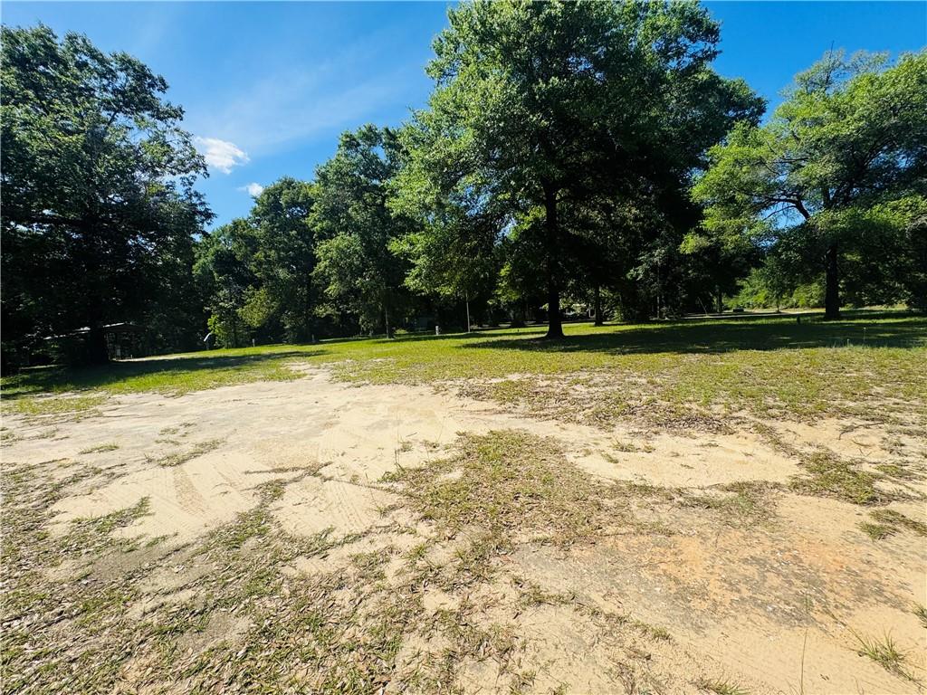 19035 Joan Harris Road - Photo 4