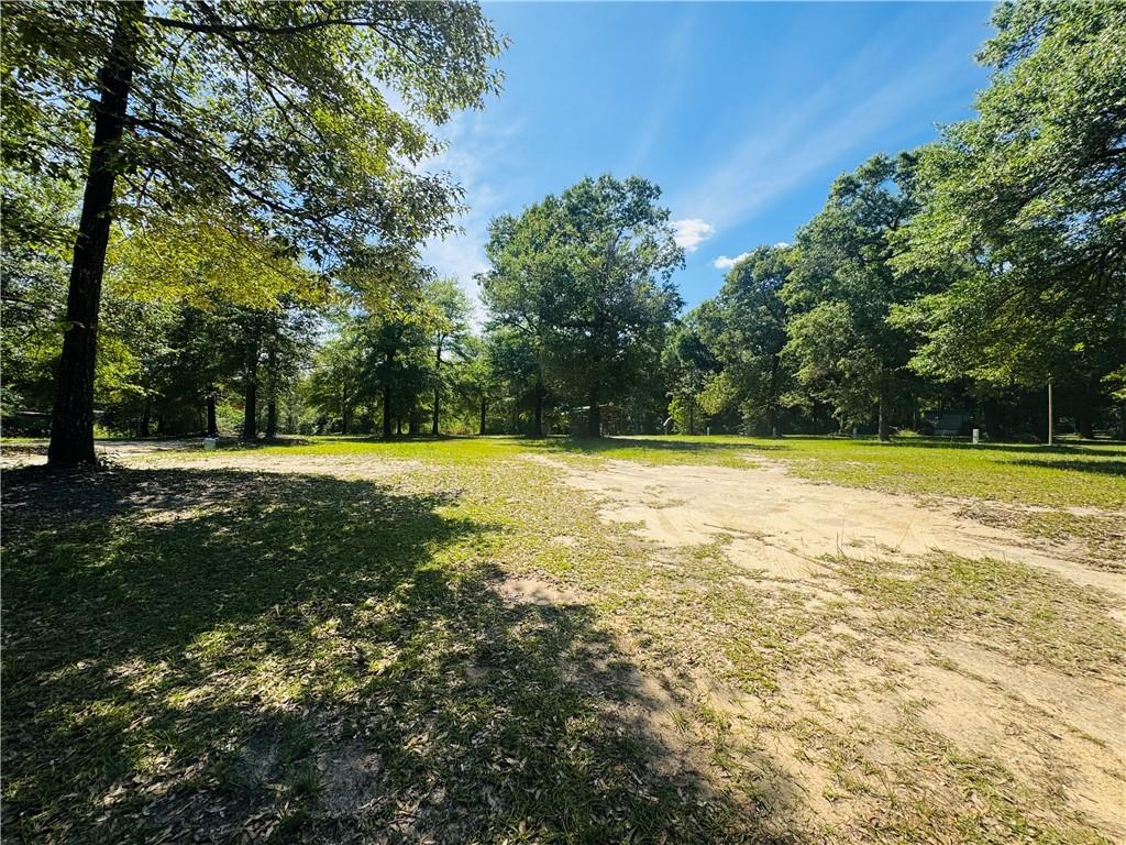 19035 Joan Harris Road - Photo 2