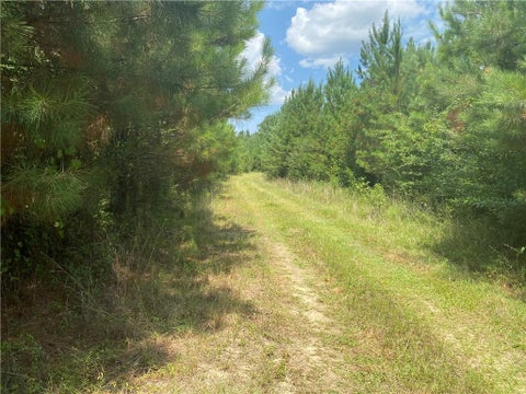 Photo of 0 Salco Road, Axis, AL 36505 (MLS # 7828559)