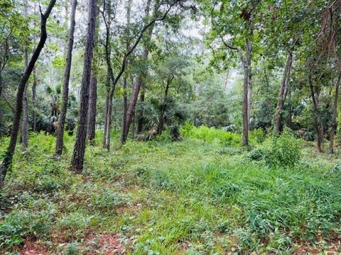Photo of 0 La Coste Court, Dauphin Island, AL 36528 (MLS # 7824837)