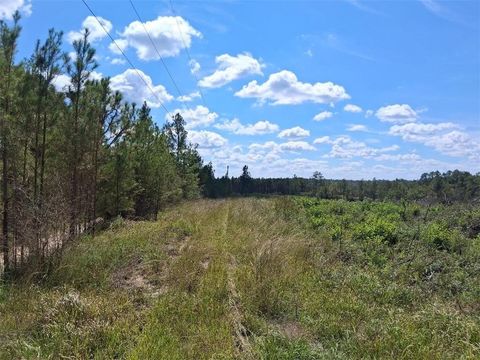 Photo of 0 Beverly Jeffries Highway, Citronelle, AL 36522 (MLS # 7659571)