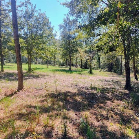 Photo of 0 Sam Lewis Road, Citronelle, AL 36522 (MLS # 7808753)