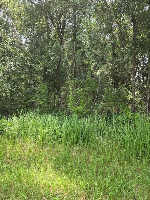 Photo of 2749 Bear Fork Road, Eight Mile, AL 36613 (MLS # 7812094)