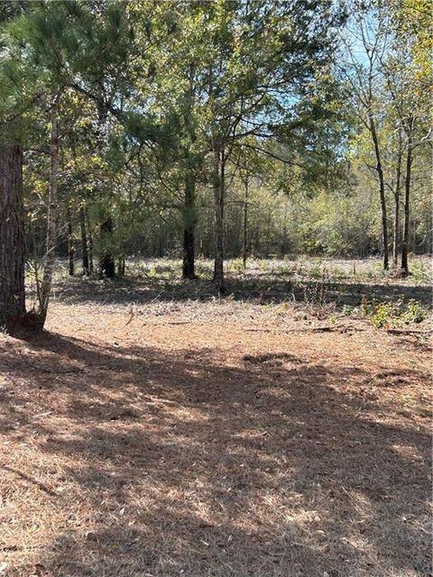 Photo of 10086 Highway 43, Creola, AL 36525 (MLS # 7720263)