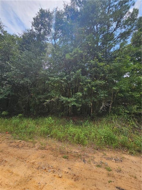 Photo of 6861 Spice Pond Drive, Eight Mile, AL 36613 (MLS # 7816442)