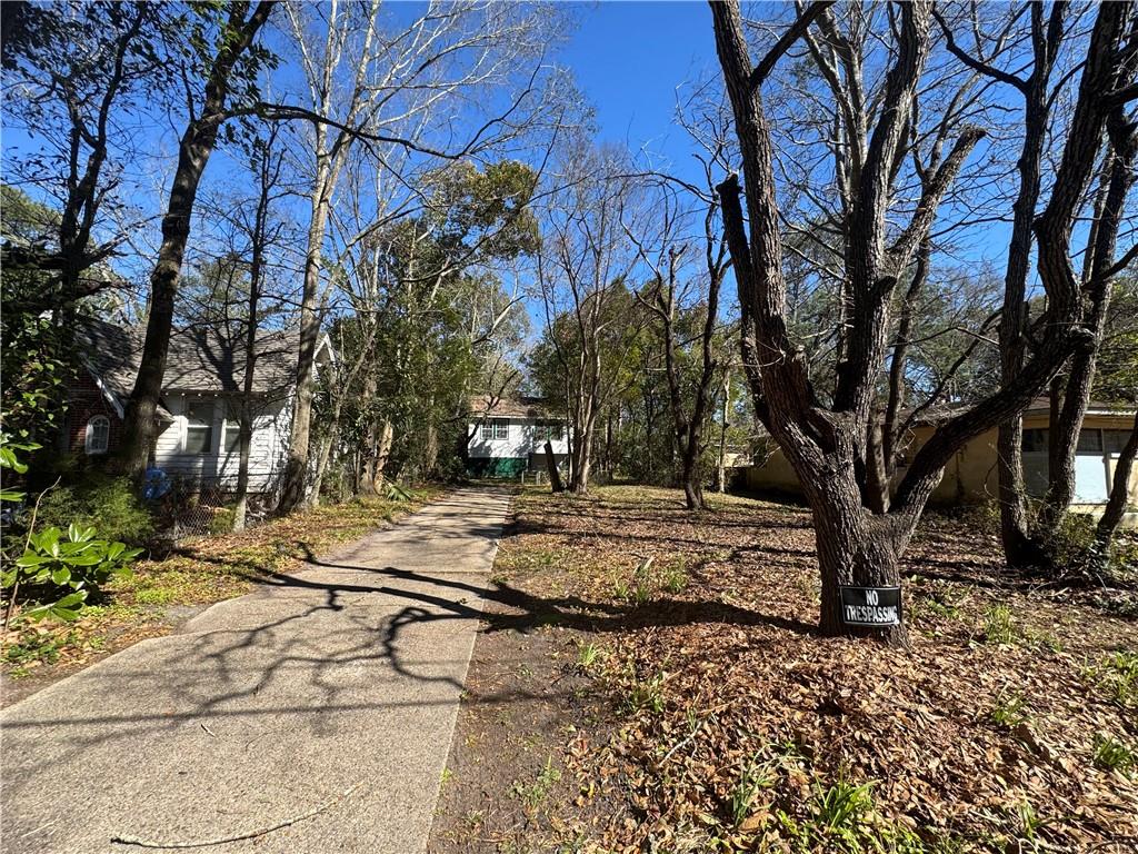 661 Ruth Street - Photo 3