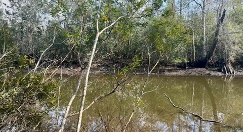Photo of 3836 Cypress Shores Drive N, Mobile, AL 36619 (MLS # 7842468)