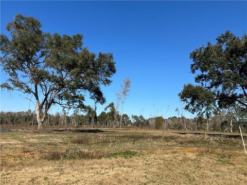 Photo of 0 Creel Road, Theodore, AL 36582 (MLS # 7692724)