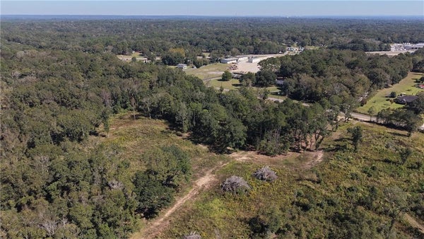 0 CREEL ROAD, THEODORE, AL 36582 - Image e6837a17f71145bcf3f5bc7b3d1fbdbd/2185711549