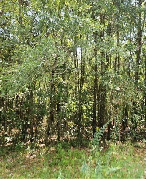 Photo of 0 Mill House Drive S, Mobile, AL 36619 (MLS # 7709832)