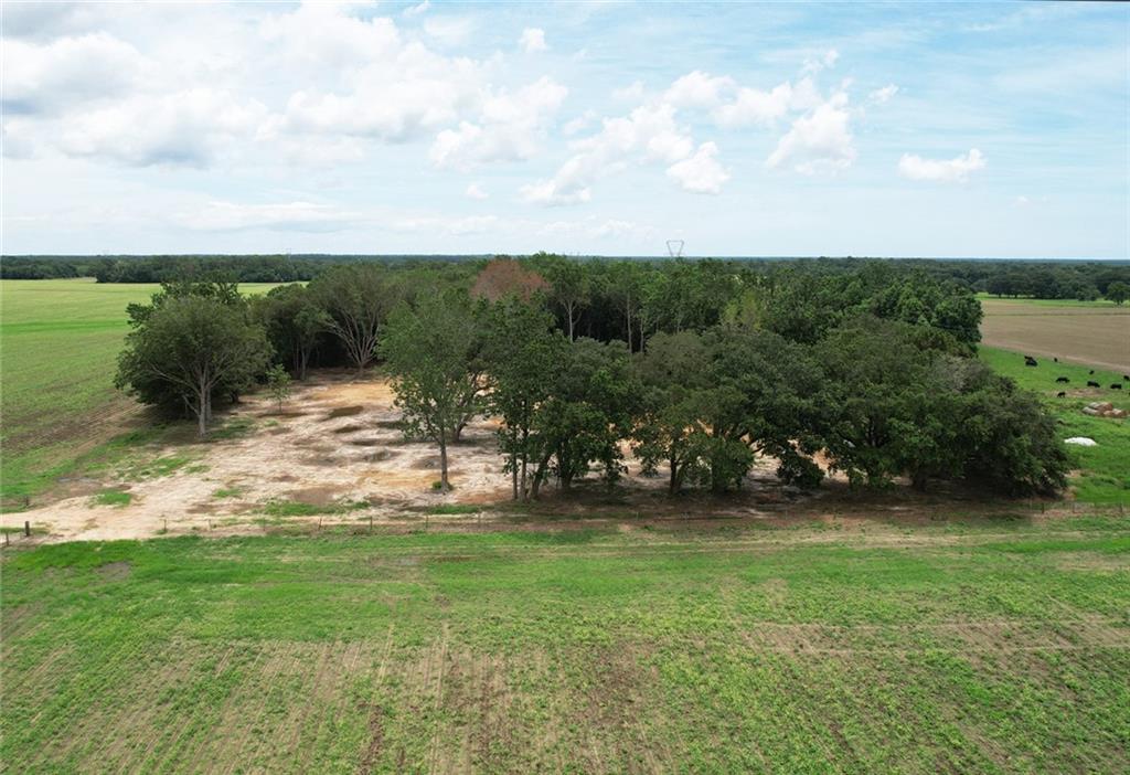 Photo 1 of 22 — 0 Wheatcroft Road S, Grand Bay, AL 36541
