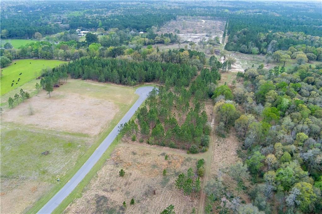 Mobile, Alabama 36608, United States, ,Land,Active,100496