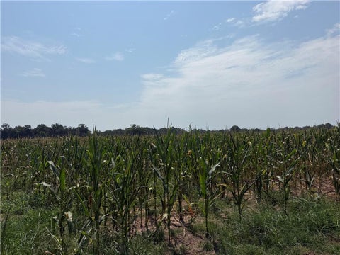 Photo of 0 Grand Bay-Wilmer Road, Mobile, AL 36608 (MLS # 7813375)