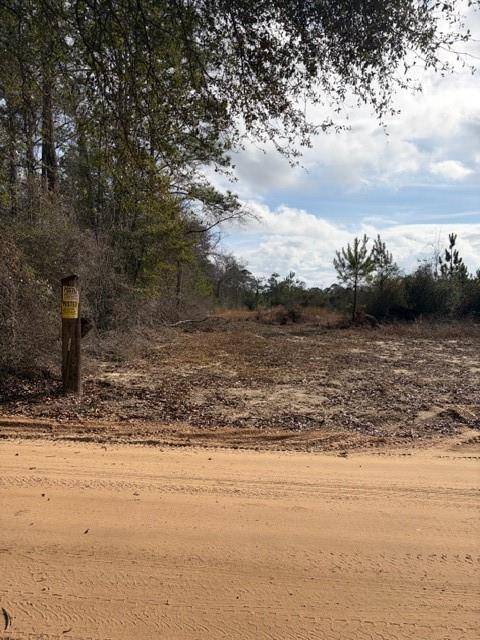 Photo 1 of 8 — 0 Harmon Williams Road, Mobile, AL 36608