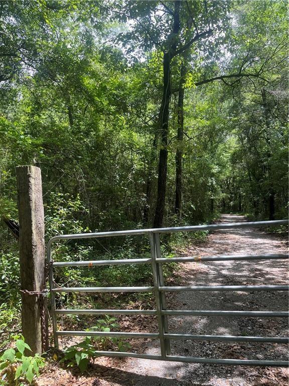 Gate with a forest view