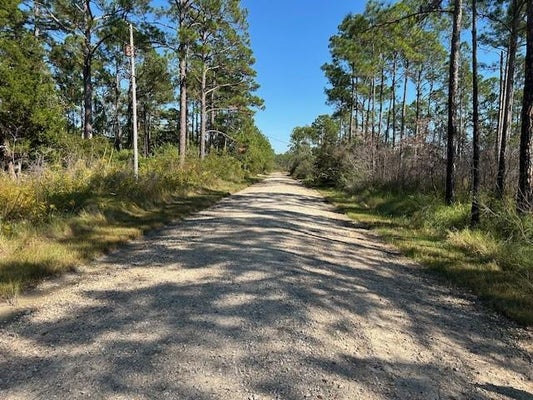 MICHIGAN AVE, CODEN, AL 36523 - Image fc2375ee17b7ddcec98de4b0bbc5ac24/3304530452
