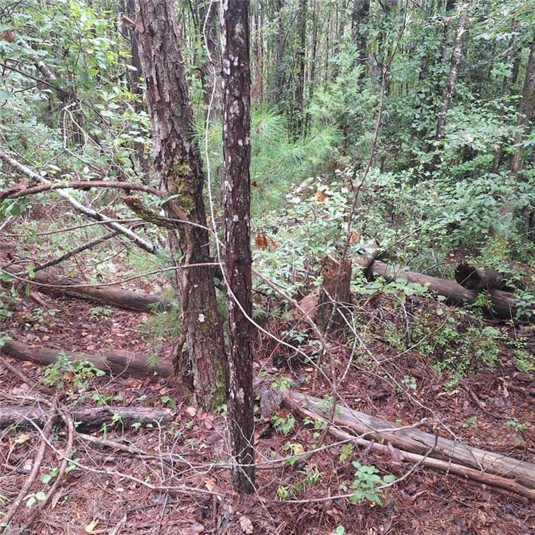 Campbell, Alabama 36727, United States, ,Land,Active,220452