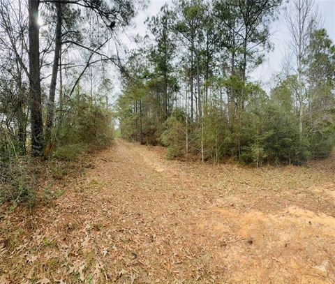 Photo of 0 Road Street, Citronelle, AL 36521 (MLS # 7531981)