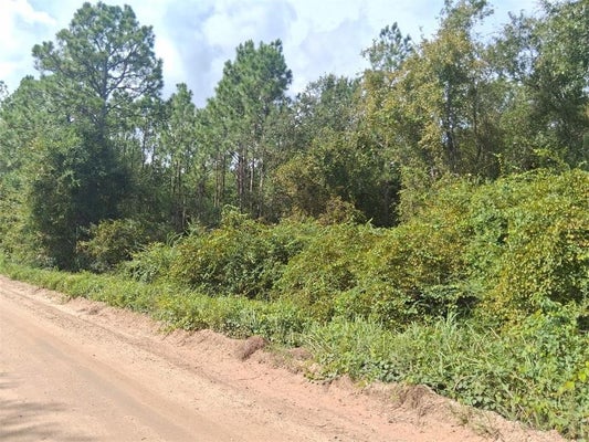 MARBELS RD, GRAND BAY, AL 36541 - Image fddaf4a6321ed669c9065f274dafe6b5/2247751553
