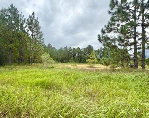 Photo of 0 Schillinger Road S, Mobile, AL 36695 (MLS # 7851299)