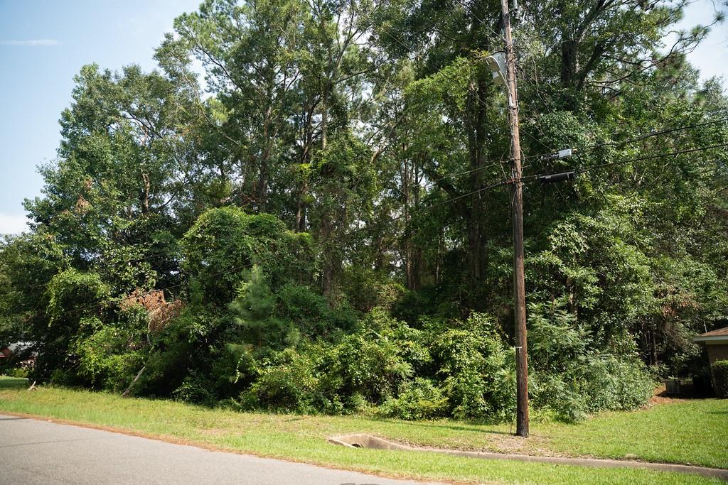 1121 North Drive - Photo 4