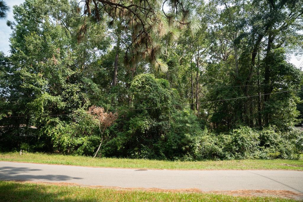 1121 North Drive - Photo 3