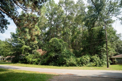 Photo of 1121 North Drive, Mobile, AL 36605 (MLS # 7814029)