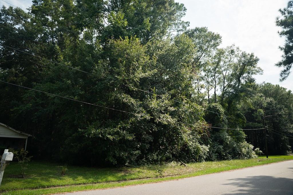 1121 North Drive - Photo 2