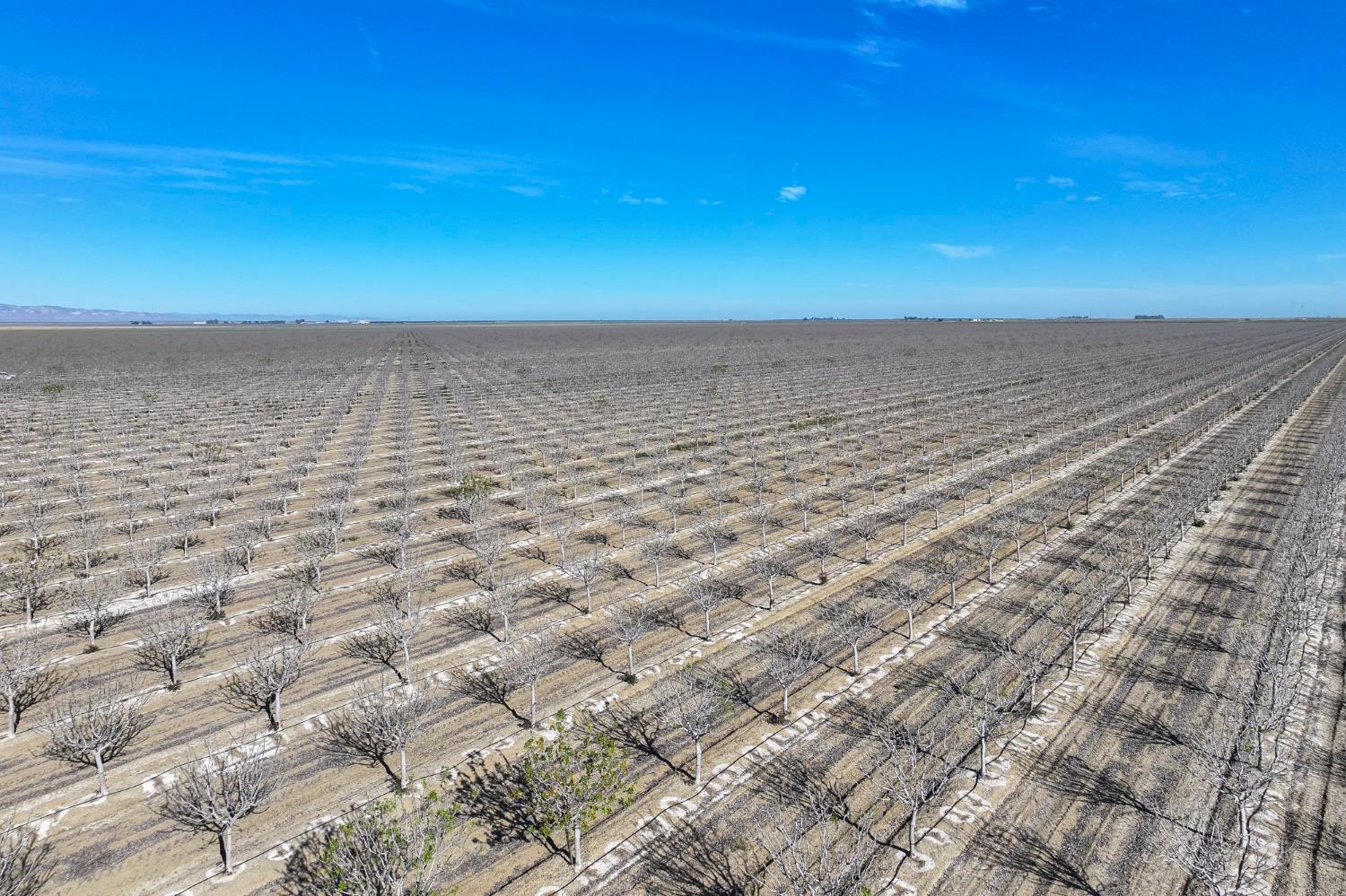 22889 S Colusa Avenue