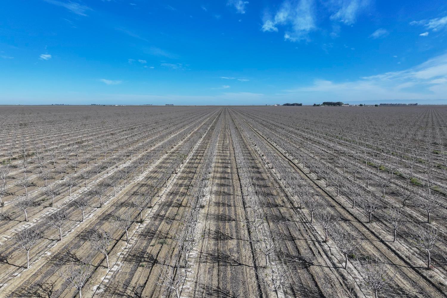 22889 S Colusa Avenue