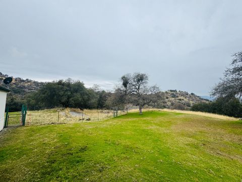 A home in Squaw Valley