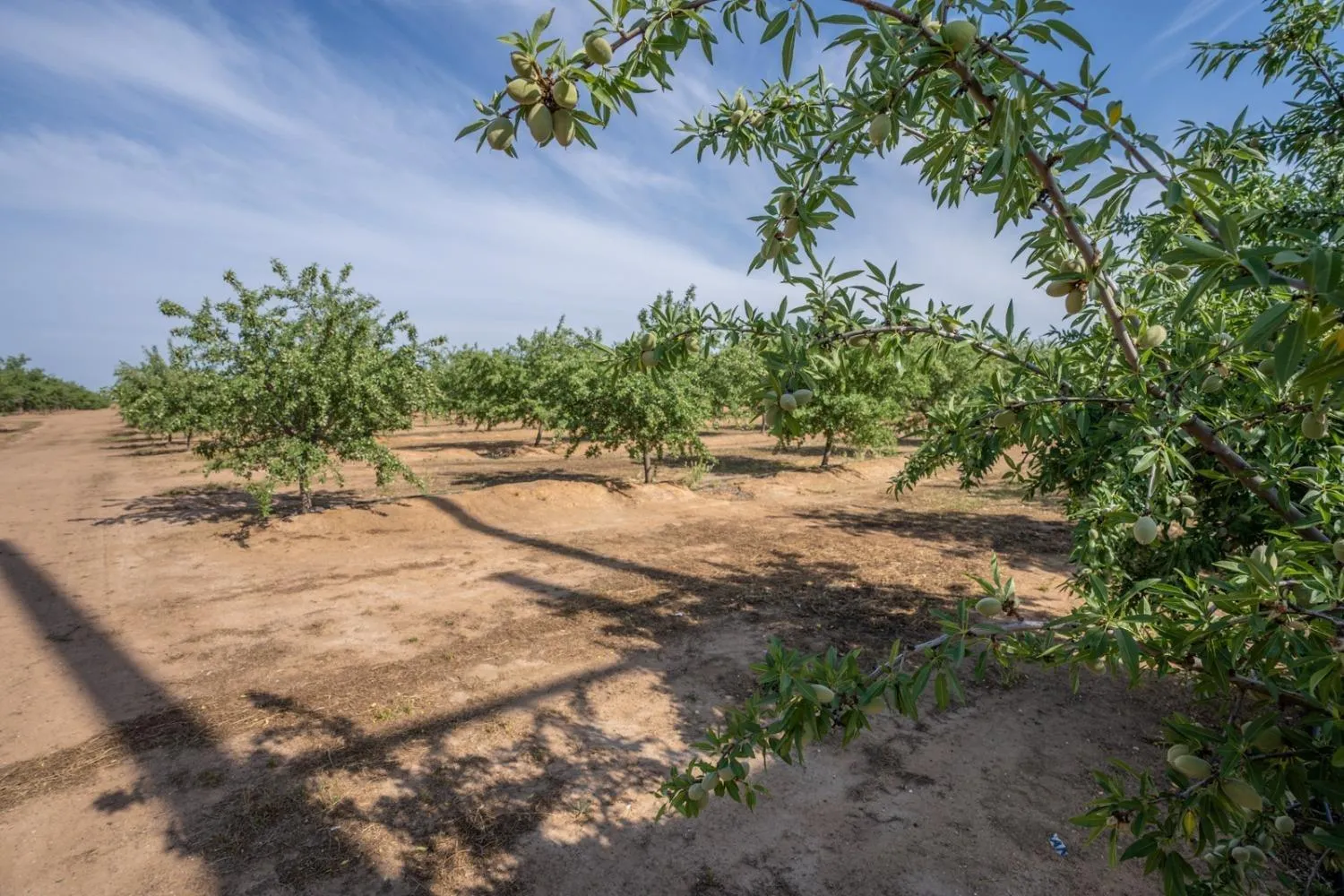 Le Grand, California 95333, United States, 4 Bedrooms Bedrooms, ,Residential,Active,104576